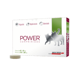 POWER COMPRIMIDOS 10.1 – 20 KGS 1 COMPRIMIDO