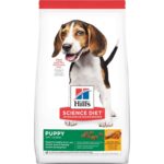 HILL'S SD PUPPY H. DEVELOPMENT CHICKEN 4.5 LB X 2 KG
